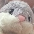 wobu